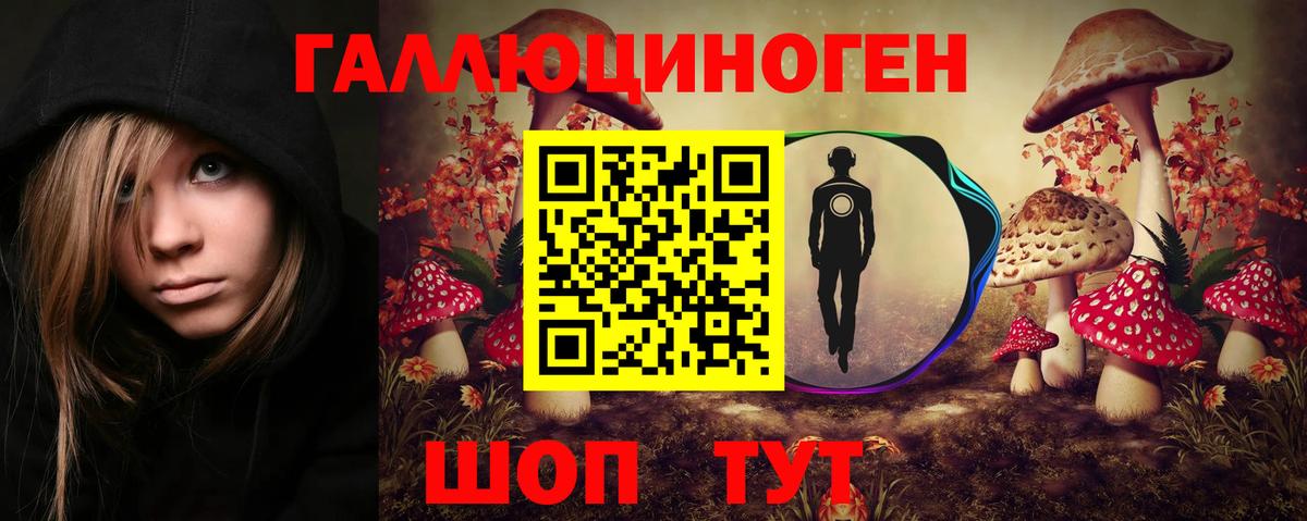 Галлюциногенные грибы Cubensis Воркута