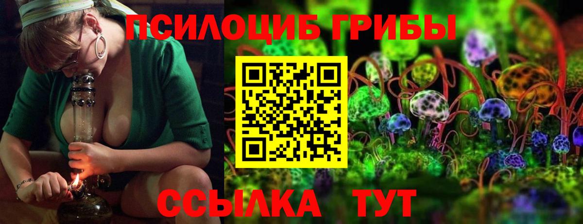 Воркута  Псилоцибиновые грибы прущие грибы  Вход с VPN 